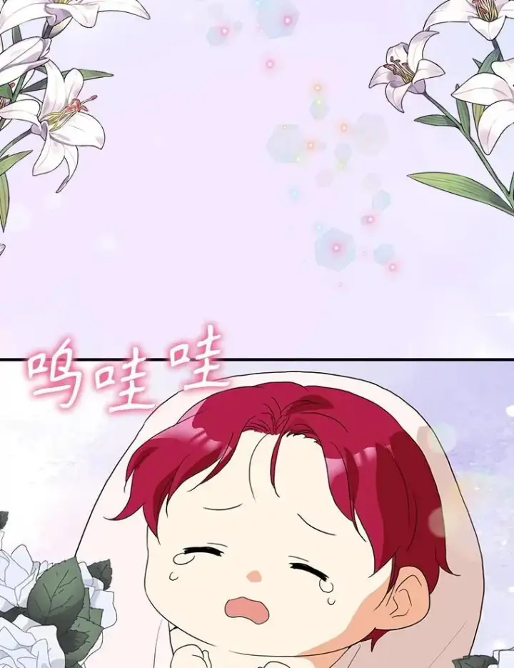 《反派的继母》118.孩子出生图12