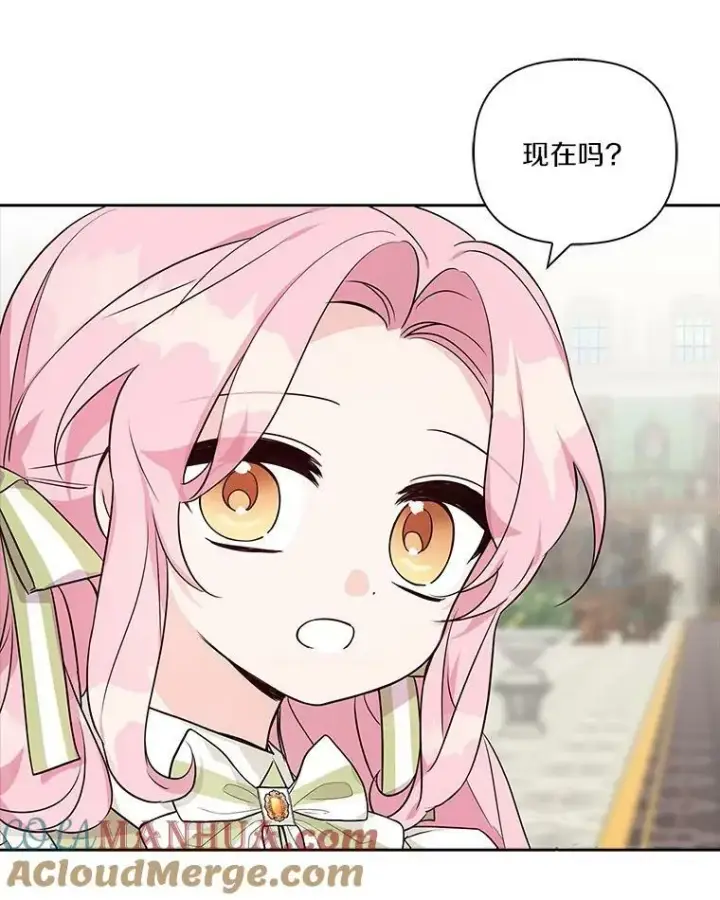 《反派家族的掌权小女儿》12.起名图25