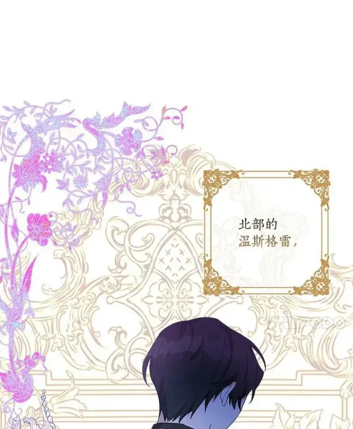 《反派家族的掌权小女儿》28.庇护能力图38