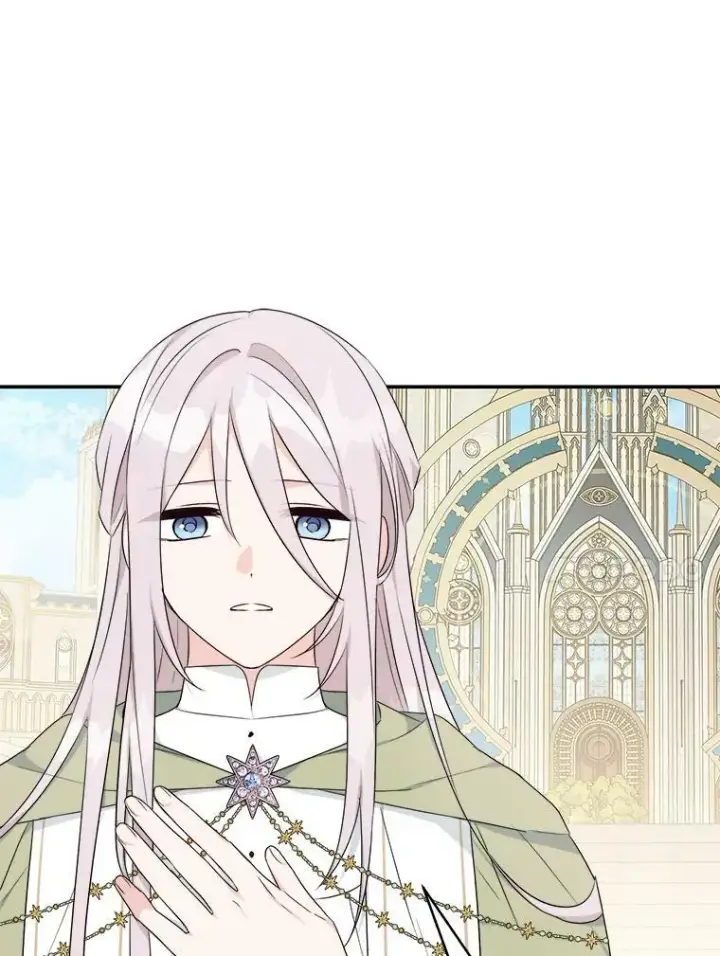 《反派家族的掌权小女儿》34.星之塔图116