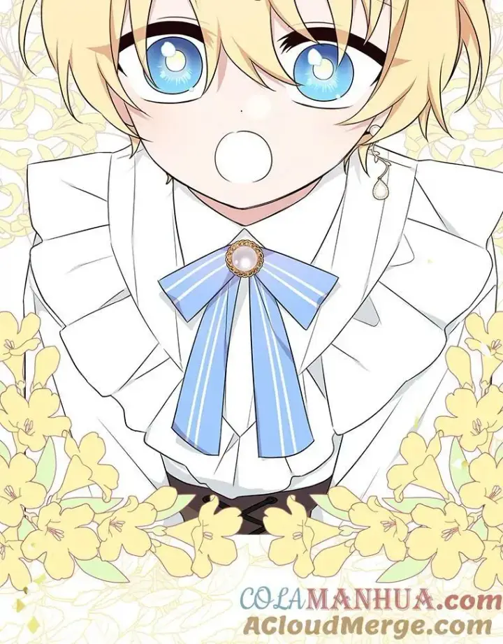 《反派家族的掌权小女儿》34.星之塔图161
