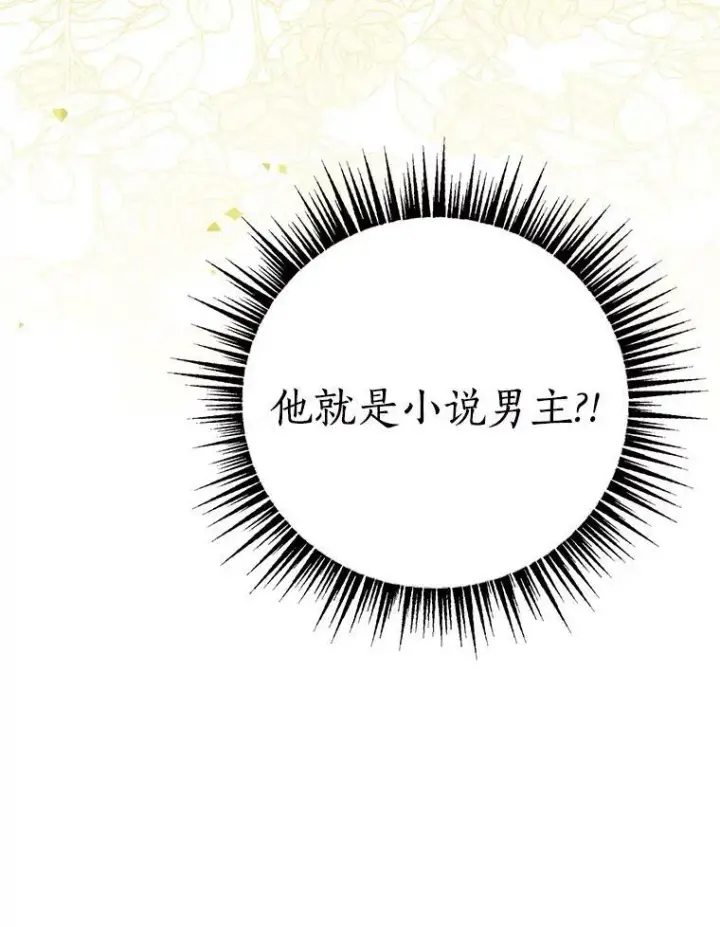 《反派家族的掌权小女儿》34.星之塔图162