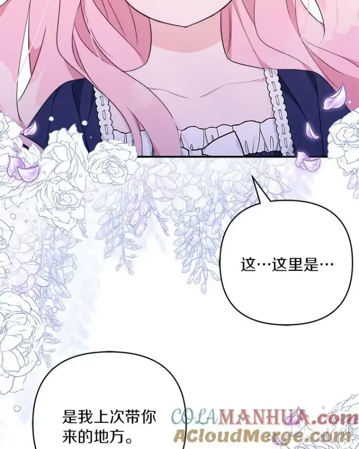 《反派家族的掌权小女儿》34.星之塔图33