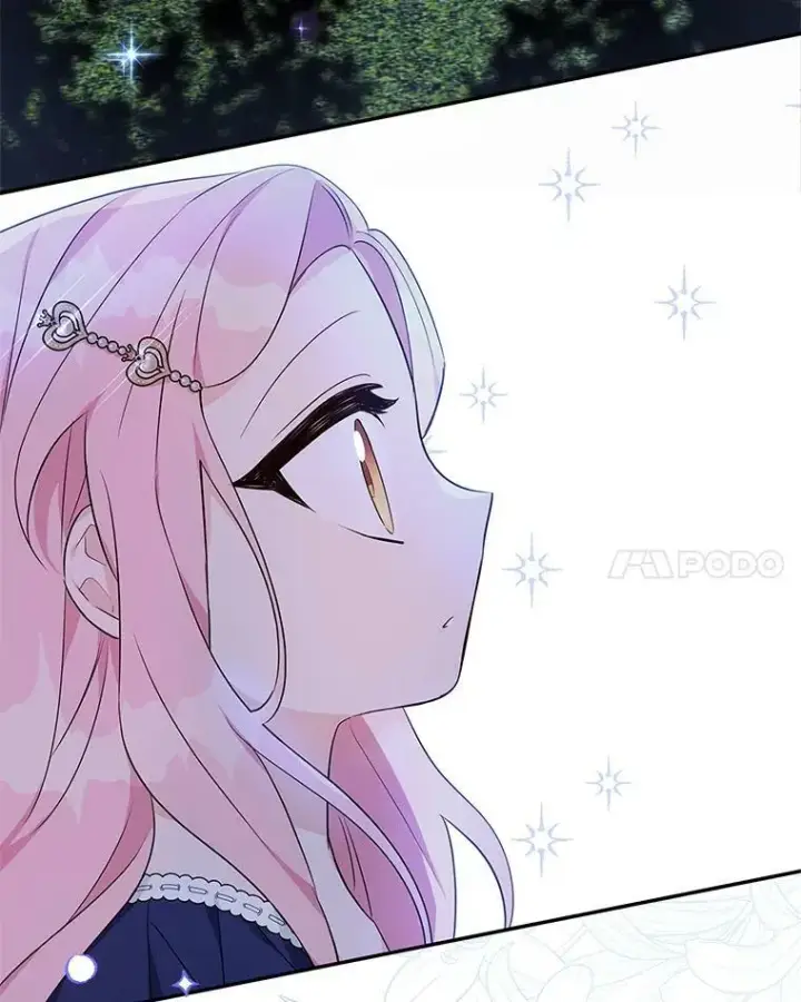 《反派家族的掌权小女儿》34.星之塔图42