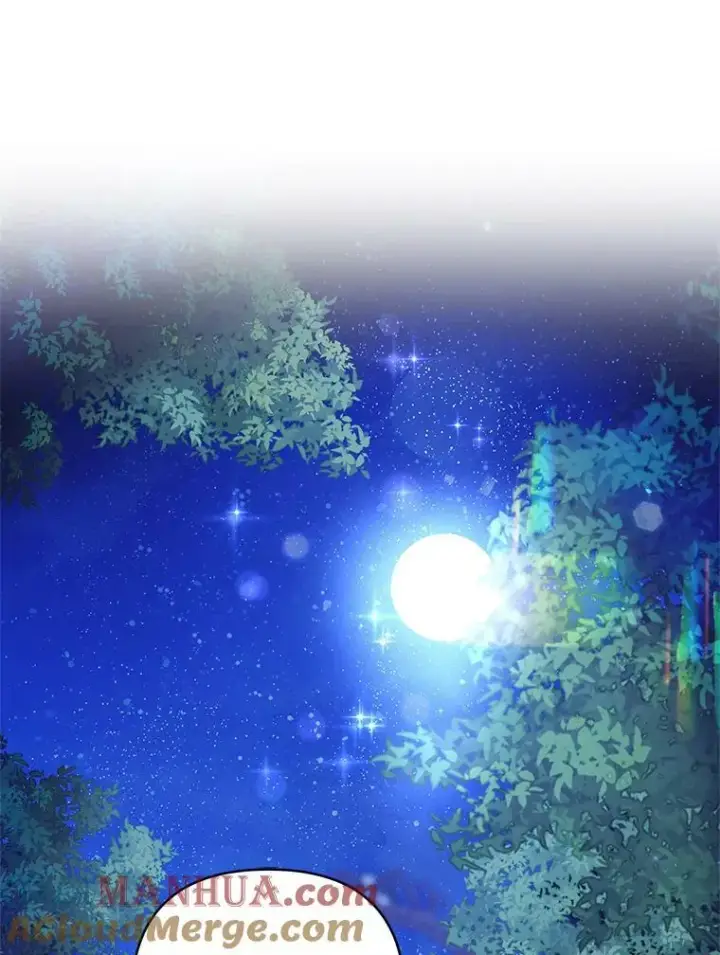 《反派家族的掌权小女儿》34.星之塔图65