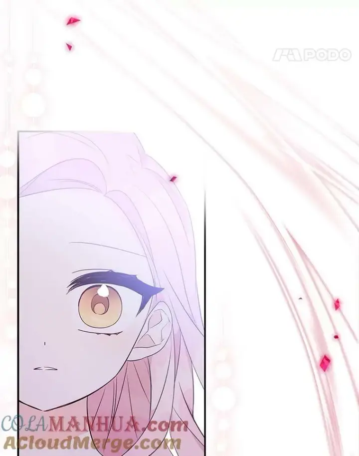 《反派家族的掌权小女儿》34.星之塔图73