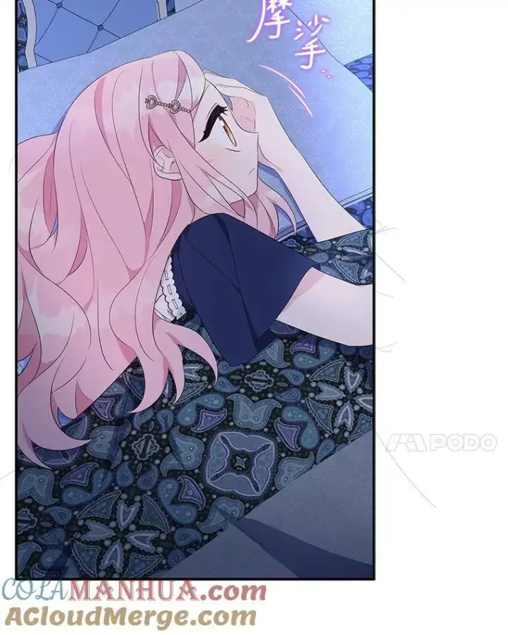 《反派家族的掌权小女儿》34.星之塔图89