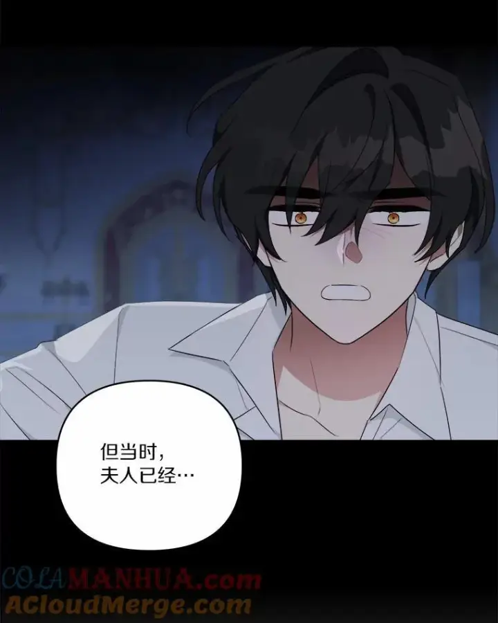 漫画《反派家族的掌权小女儿》37.关于母亲的故事第85张图