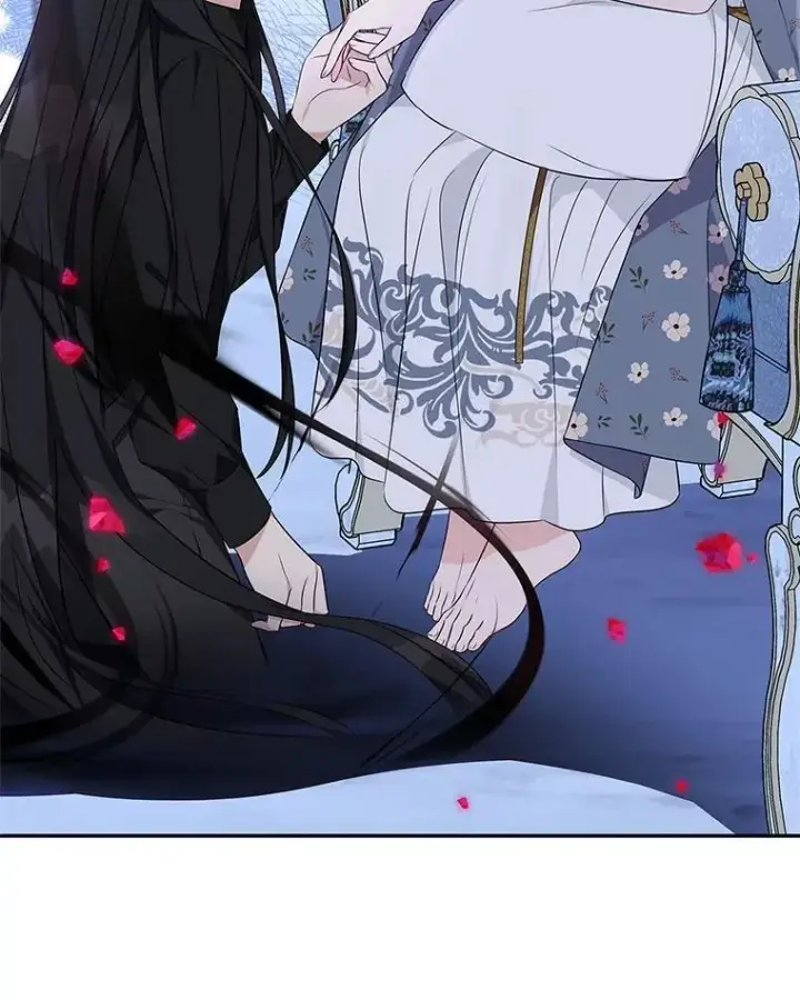 《反派家族的掌权小女儿》46.生日快乐图47