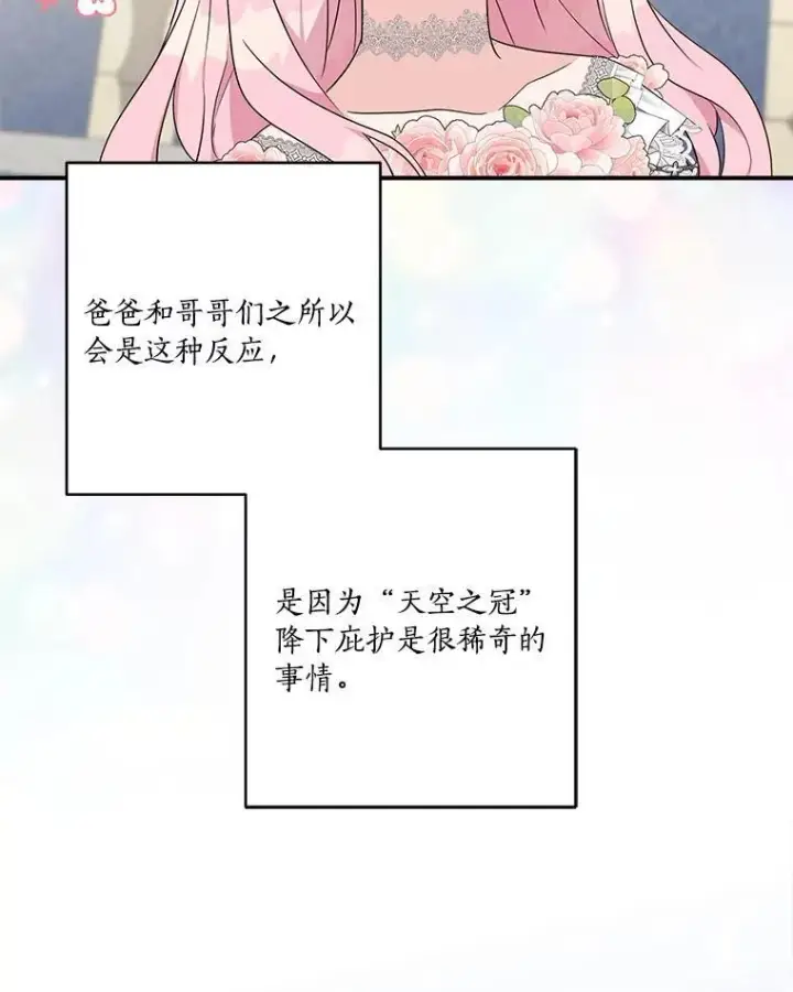 《反派家族的掌权小女儿》48.天空之冠的庇护图39