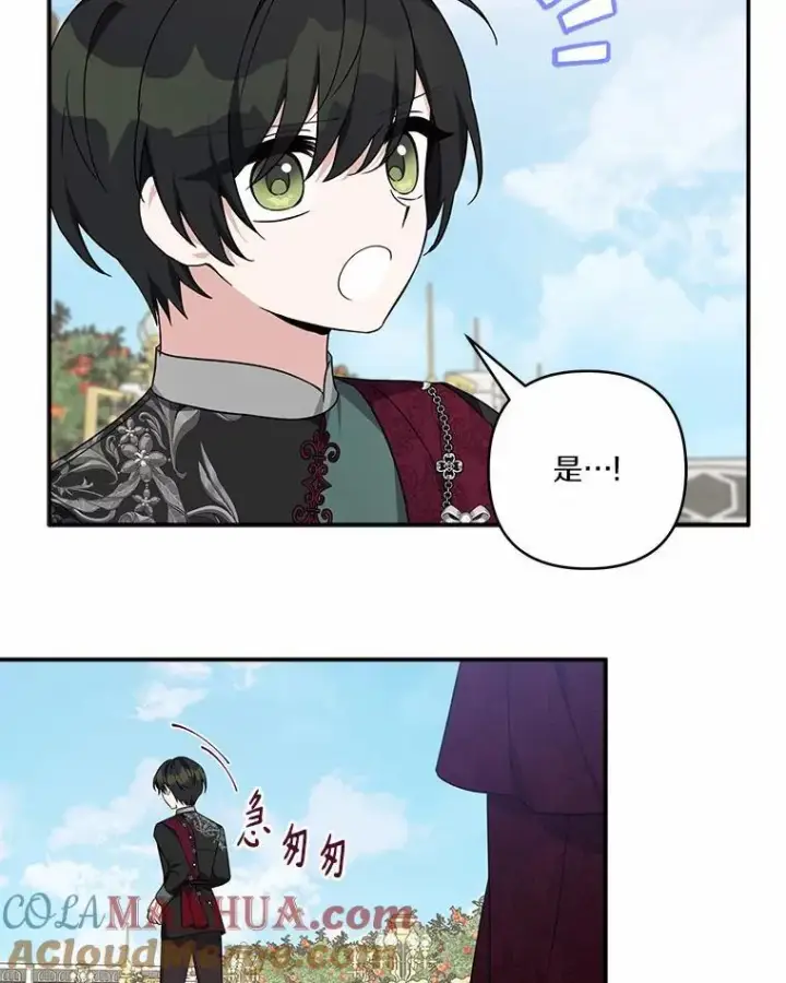 漫画《反派家族的掌权小女儿》50.太阳君主现世第61张图