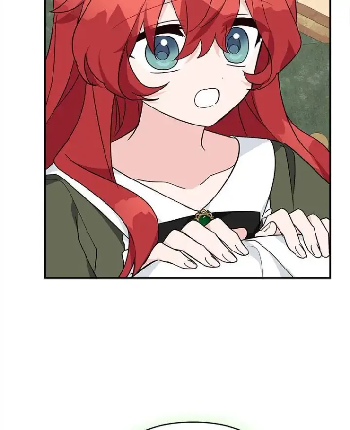 《反派家族的掌权小女儿》63.希望她幸福图92