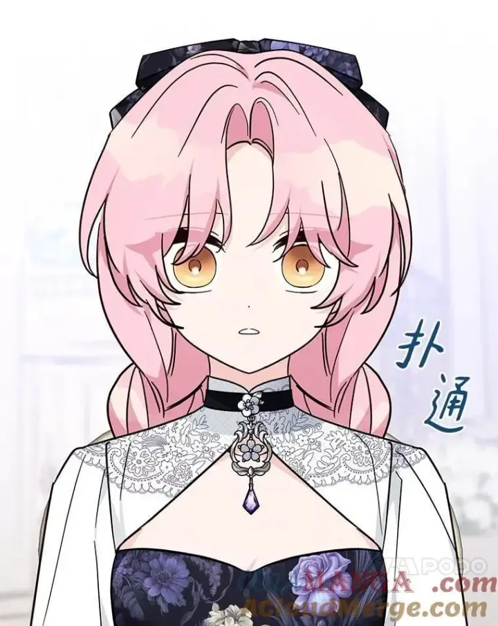 《反派家族的掌权小女儿》92.了解圣痕图41