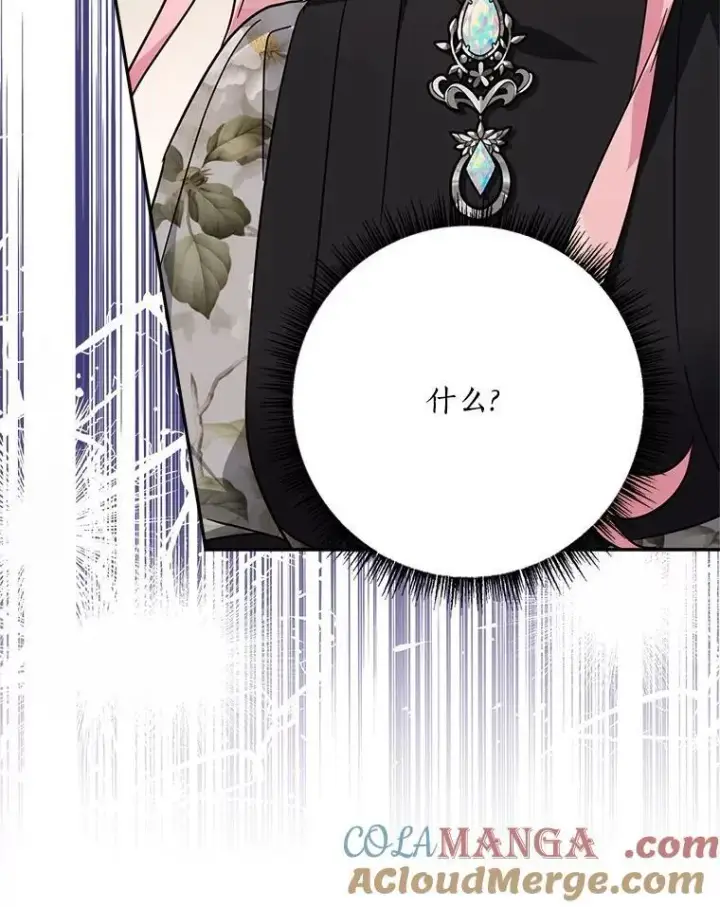 《反派家族的掌权小女儿》93.无关身份图117