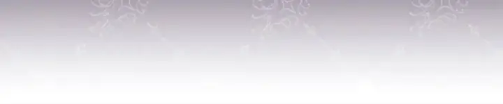 《反正是欧风小甜漫》第76话 神秘的日记本图95