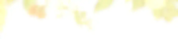 漫画《反正是欧风小甜漫》第96话 老公天下第一第19张图