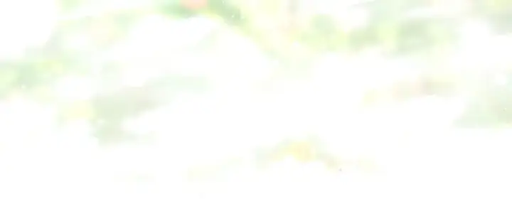 《反正是欧风小甜漫》第101话 神官的祝福图72