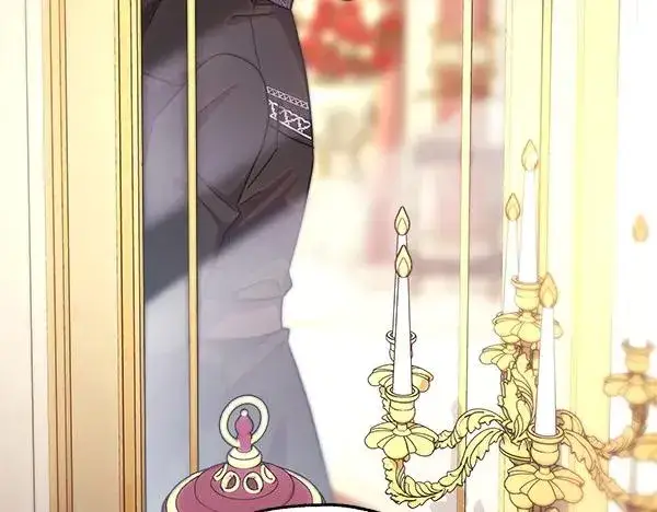 《反正是欧风小甜漫》第120话 完美的生日图10