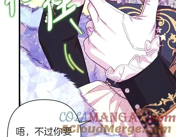《反正是欧风小甜漫》第120话 完美的生日图37