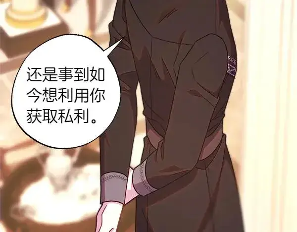 《反正是欧风小甜漫》第120话 完美的生日图7