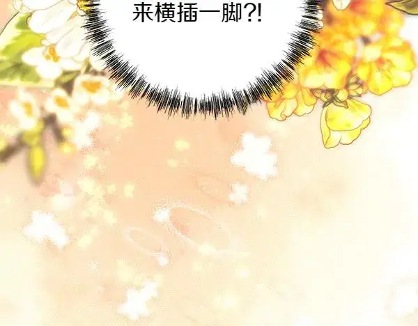 《反正是欧风小甜漫》第124话 替夫参赛图46