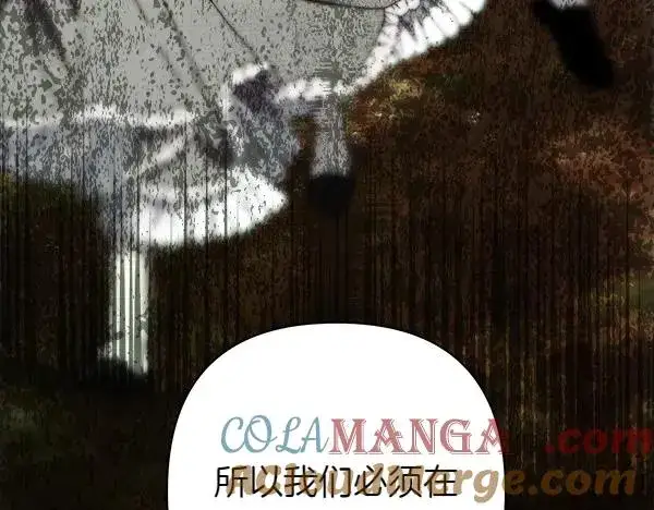 《反正是欧风小甜漫》第125话 计划周全图169