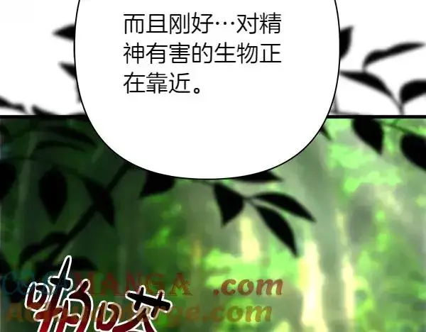 《反正是欧风小甜漫》第125话 计划周全图193