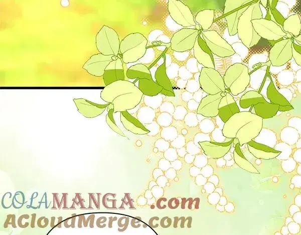 《反正是欧风小甜漫》第125话 计划周全图5