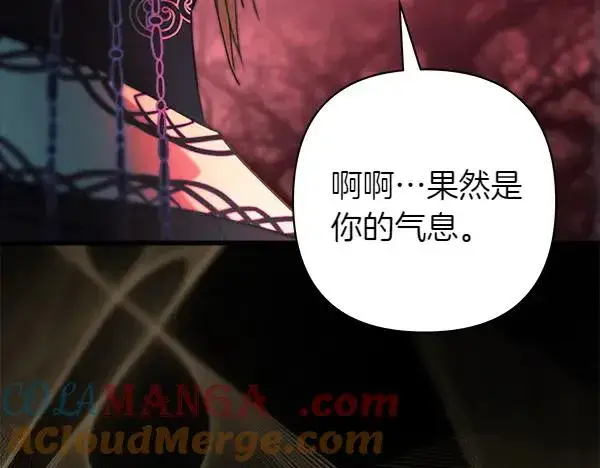 《反正是欧风小甜漫》第126话 截胡图177