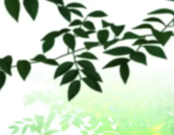 《反正是欧风小甜漫》第126话 截胡图19