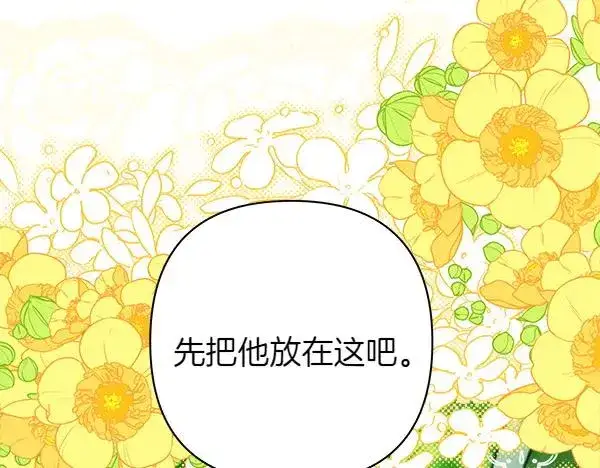 《反正是欧风小甜漫》第126话 截胡图204