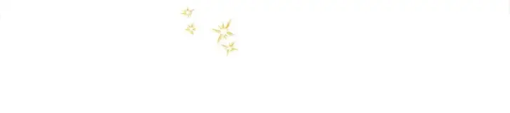 漫画《反正是欧风小甜漫》第89话 家人的礼物第193张图