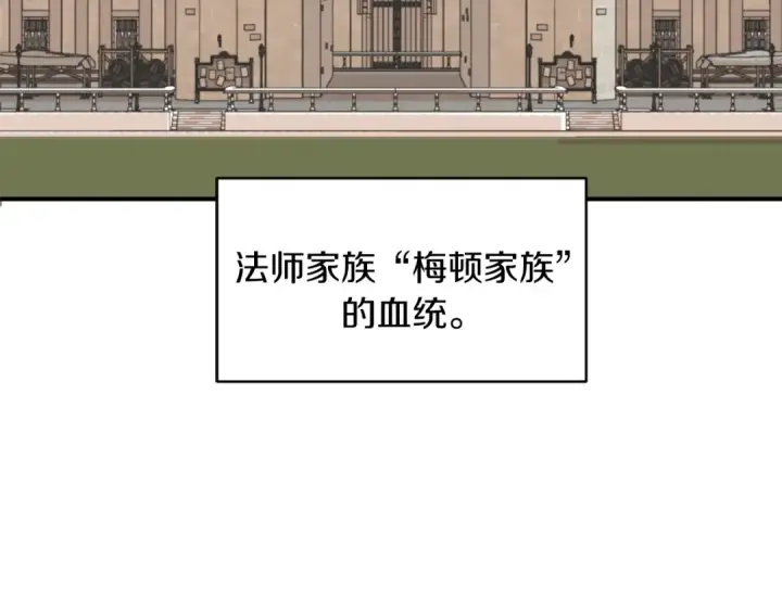 漫画《法师家族的恶少小儿子》第1话 穿成恶少的我第257张图