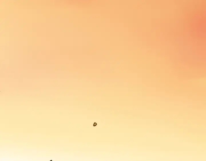 《法师家族的恶少小儿子》第一季完结话 我想好了图211