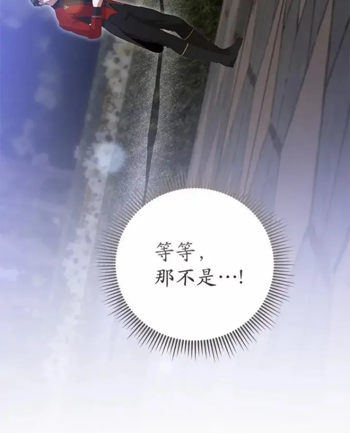 《菲奥妮-预见与杀人魔大公的未来》45.婚事问题图148