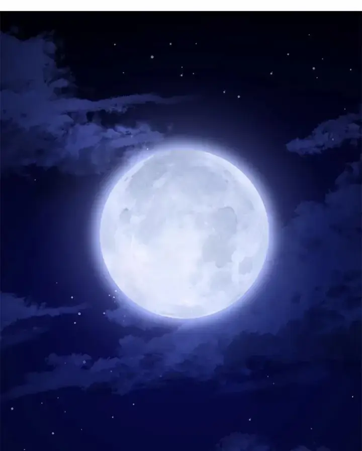 《菲奥妮-预见与杀人魔大公的未来》49.告白图94