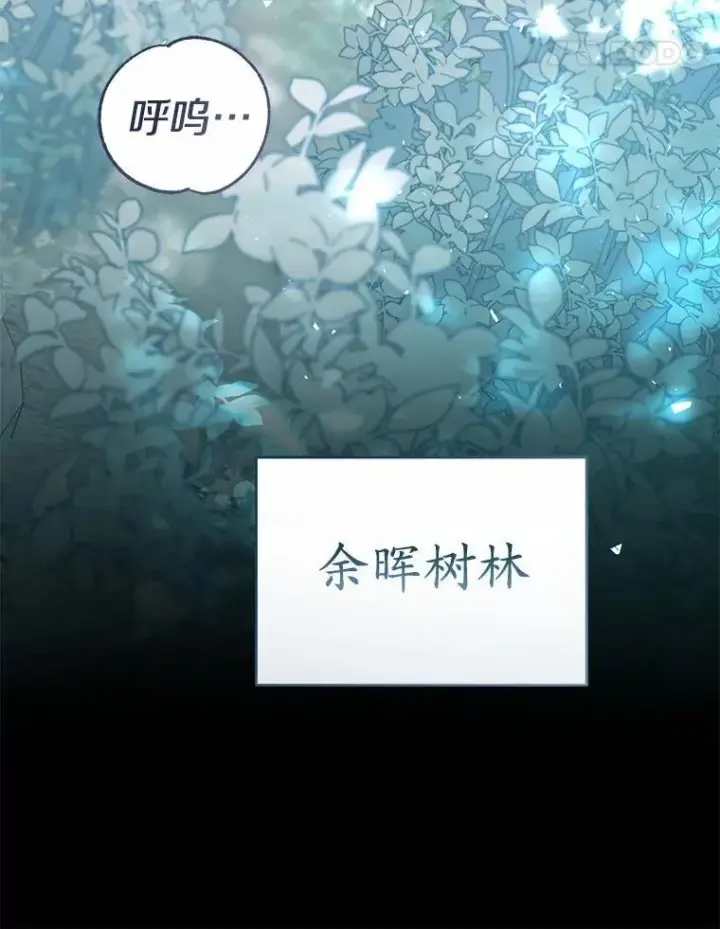 《菲奥妮-预见与杀人魔大公的未来》54.奇迹图133