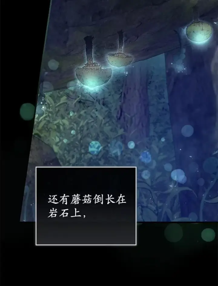 《菲奥妮-预见与杀人魔大公的未来》55.白夜空间图15