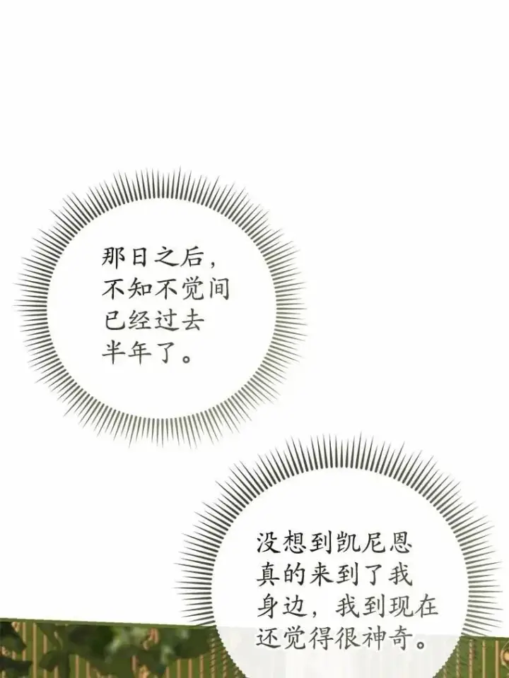 《菲奥妮-预见与杀人魔大公的未来》57.突发情况图38