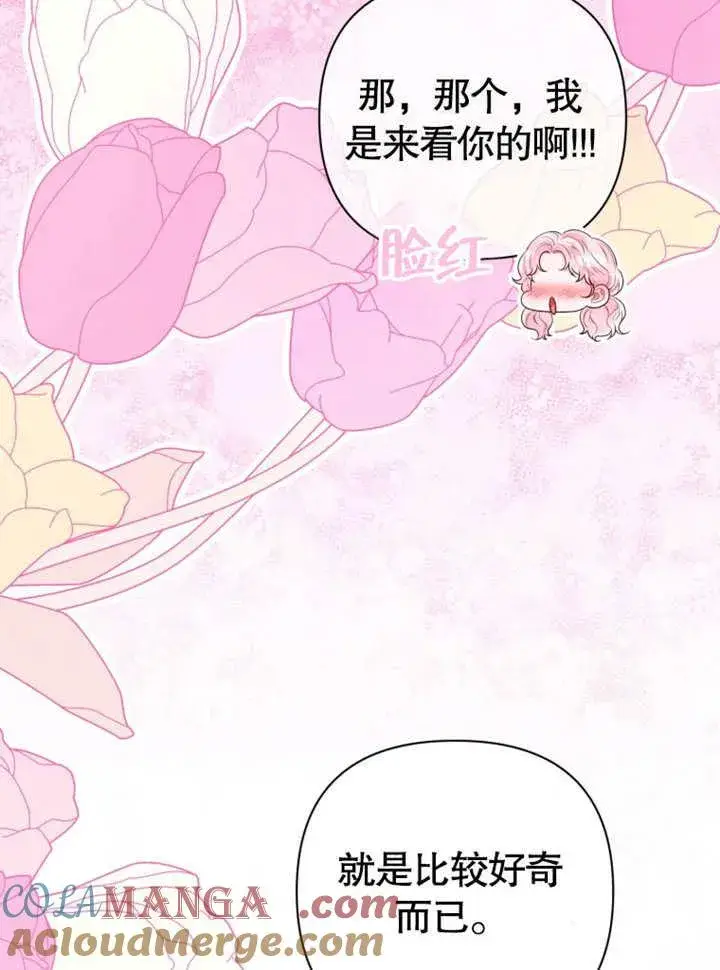 《干脆我成为王好了》第33话图53