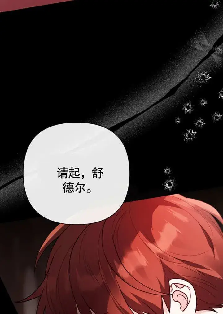 漫画《干脆我成为王好了》第41话第11张图
