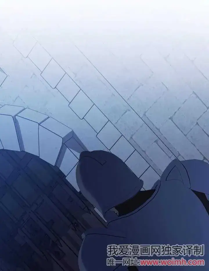 《干脆我成为王好了》第47话图83