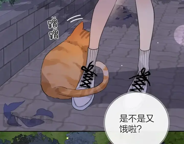 《告白》第十五话 一个人的秘密图30