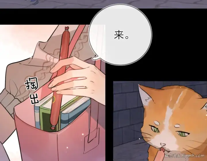 《告白》第十五话 一个人的秘密图32