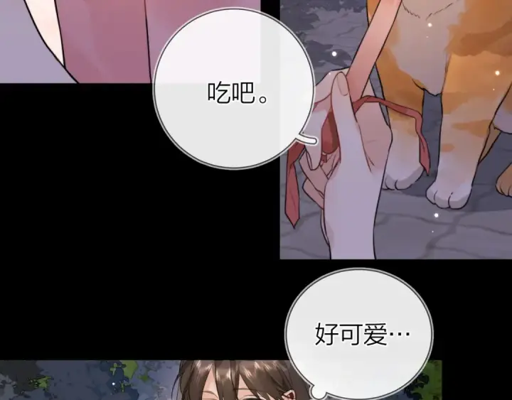 《告白》第十五话 一个人的秘密图33