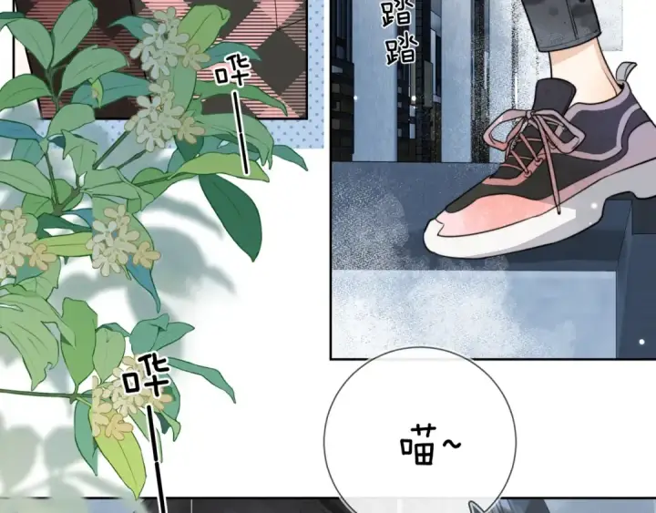《告白》第十五话 一个人的秘密图58