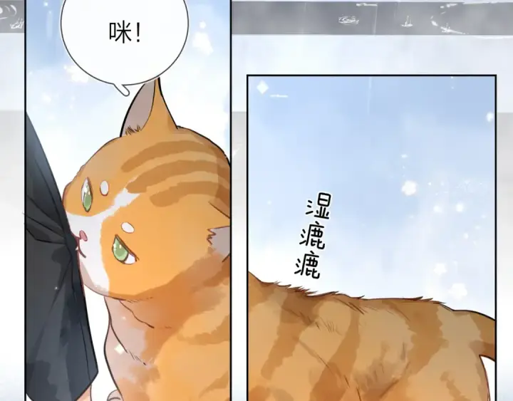 《告白》第十五话 一个人的秘密图70