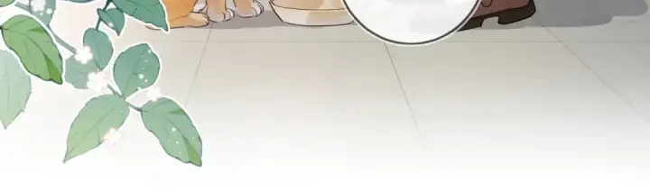 《告白》第十八话 别听了，出来吧图25