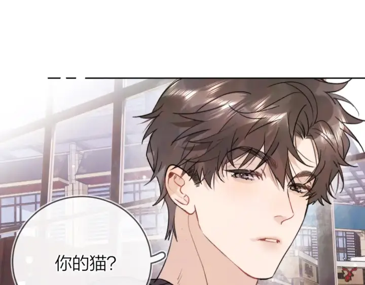 《告白》第四十七话 你的猫？图78