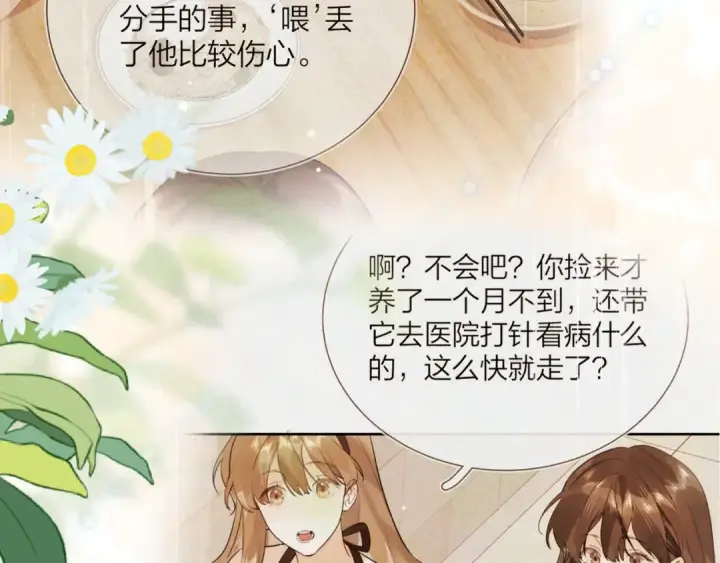 《告白》第四十八话 你们俩的猫图12